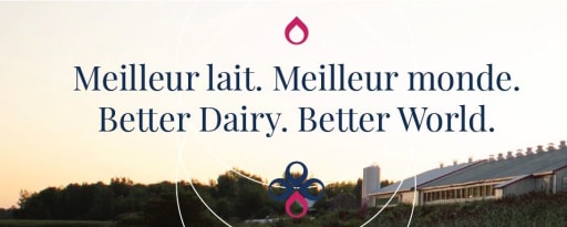 Crino® Buttermilk Powder product card banner