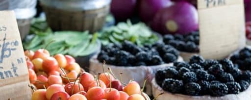 Fermapro® Black Garlic product card banner