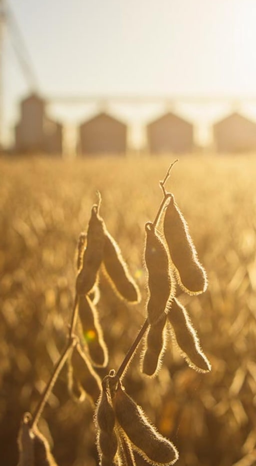 Agrochemicals - Crop Protection & Pest Control - Knowde