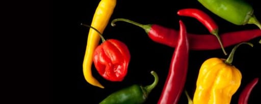 Primetime Nat Chili Ancho Pepper Flavor Type (Bd-10222) product card banner
