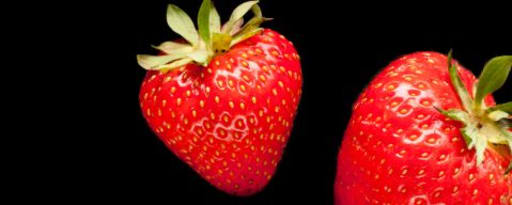 Primetime Nat Strawberry (Seedy) Flavor Wonf (Bd-10373) product card banner