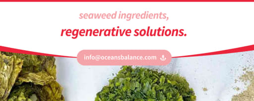Ocean's Balance Organic Irish Moss - Whole Leaf product card banner