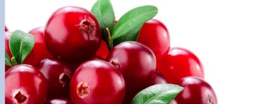 Givaudan Organics Natural Lingonberry Type Flavor (Ud-1462) product card banner
