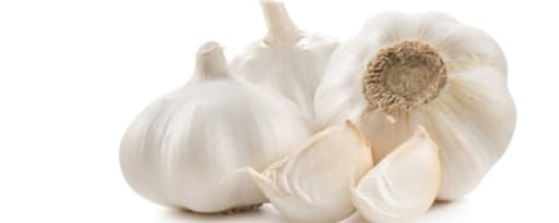 Tulkoff® Garlic Puree product card banner
