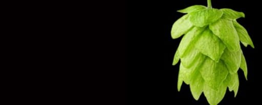 Primetime Nat Cascade Hop Flavor Wonf (Bd-10255) product card banner