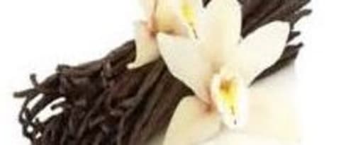 Lemur International Inc Vanilla Bean Paste (Lm1070) product card banner