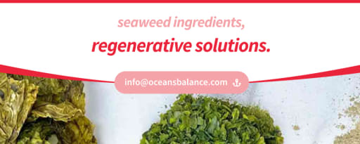 Ocean's Balance Organic Sugar Kelp Seaweed Powder product card banner