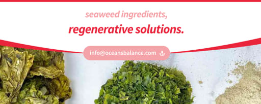 Ocean's Balance Organic Sugar Kelp Seaweed Flakes product card banner