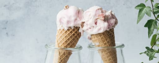 Ice Cream Stabilizer - PastryStar