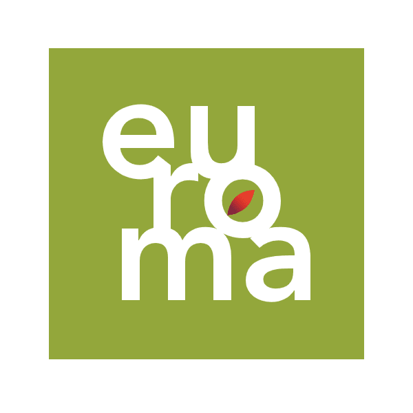 Euroma original spices thai green curry top