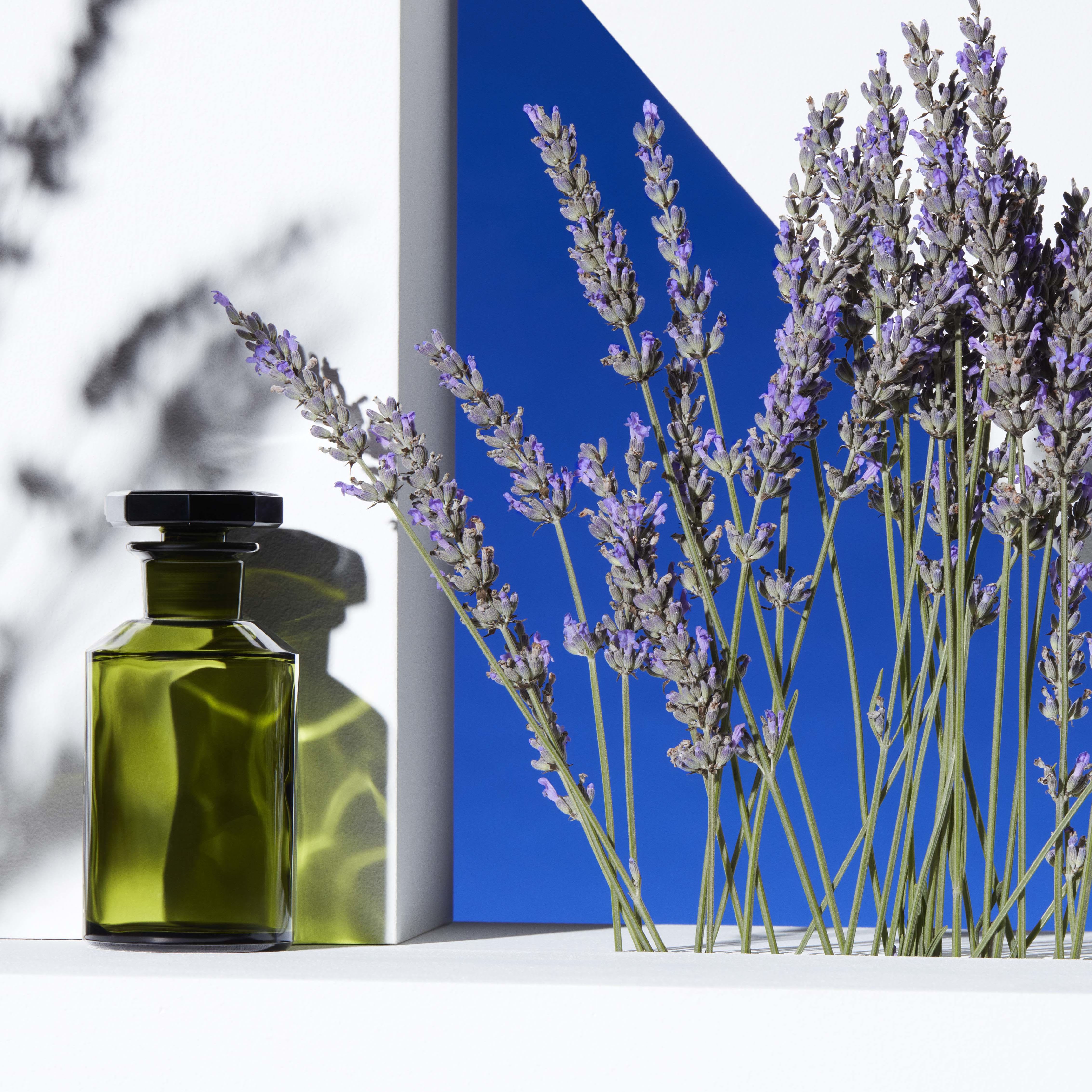 Robertet perfume discount