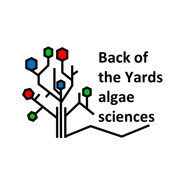 Back of the Yard Algae Sciences - BYAS-F601 - Spirulina Powder