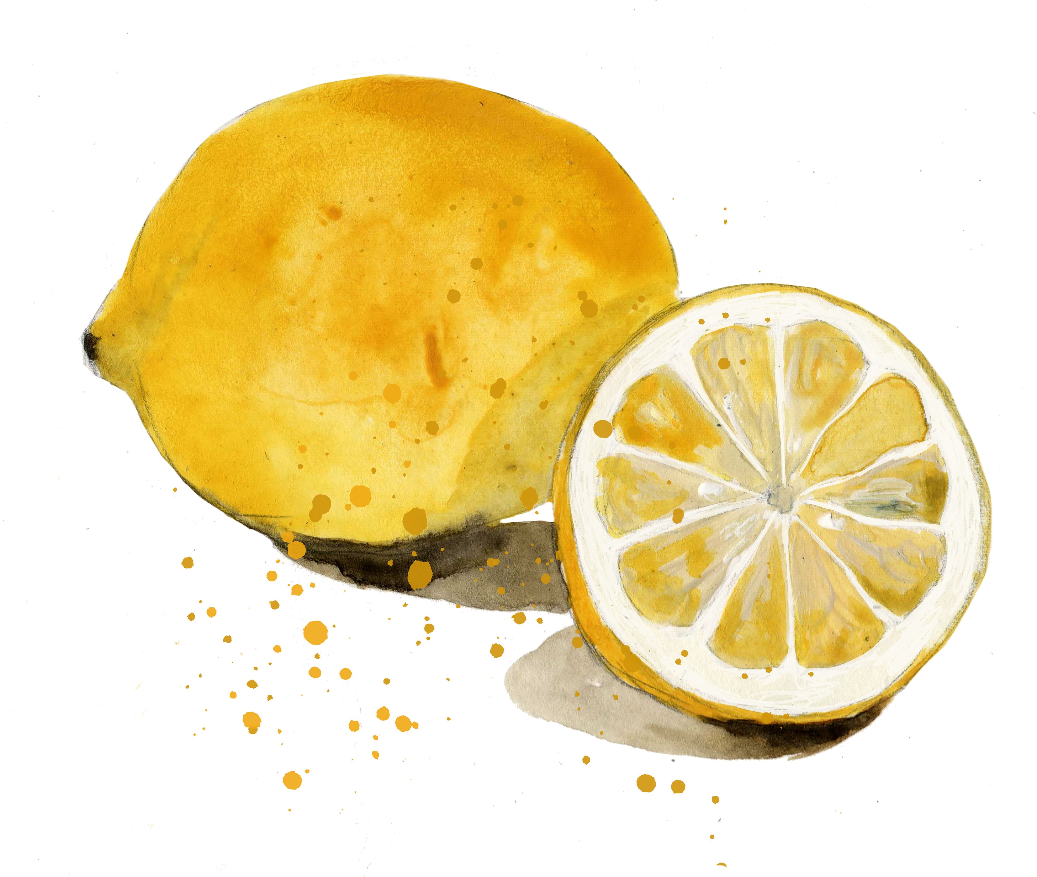 Wellemon Euromed Citrus Limon (Lemon) Fruit Extract Knowde