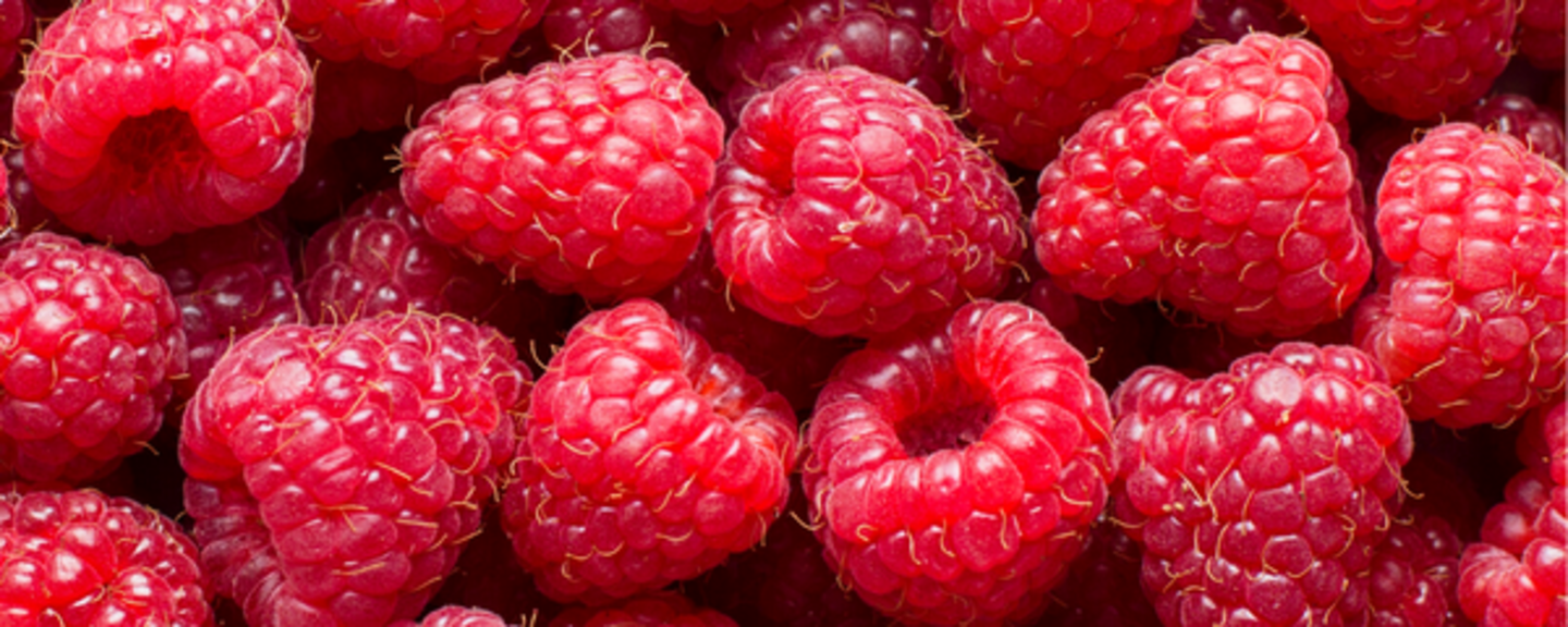 Raspberry Flavor Natural Type (7237041) banner