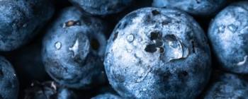 Callisons Blueberry Type Flavor NAT SD (112263) banner