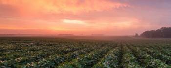 Gateway Food Products Company Brown Sugar banner
