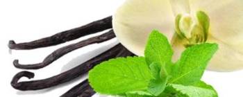 Oral Care Flavors Vanilla Mint Flavor N&A OS (109888) banner