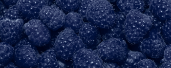 Sensapure Flavors Blue Raspberry Natural Type Flavor OS (7237093) banner