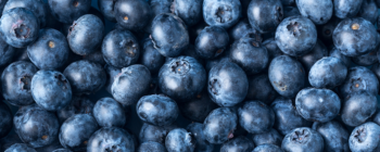 Sensapure Flavors Blueberry Natural WONF Flavor WS (7237062) banner