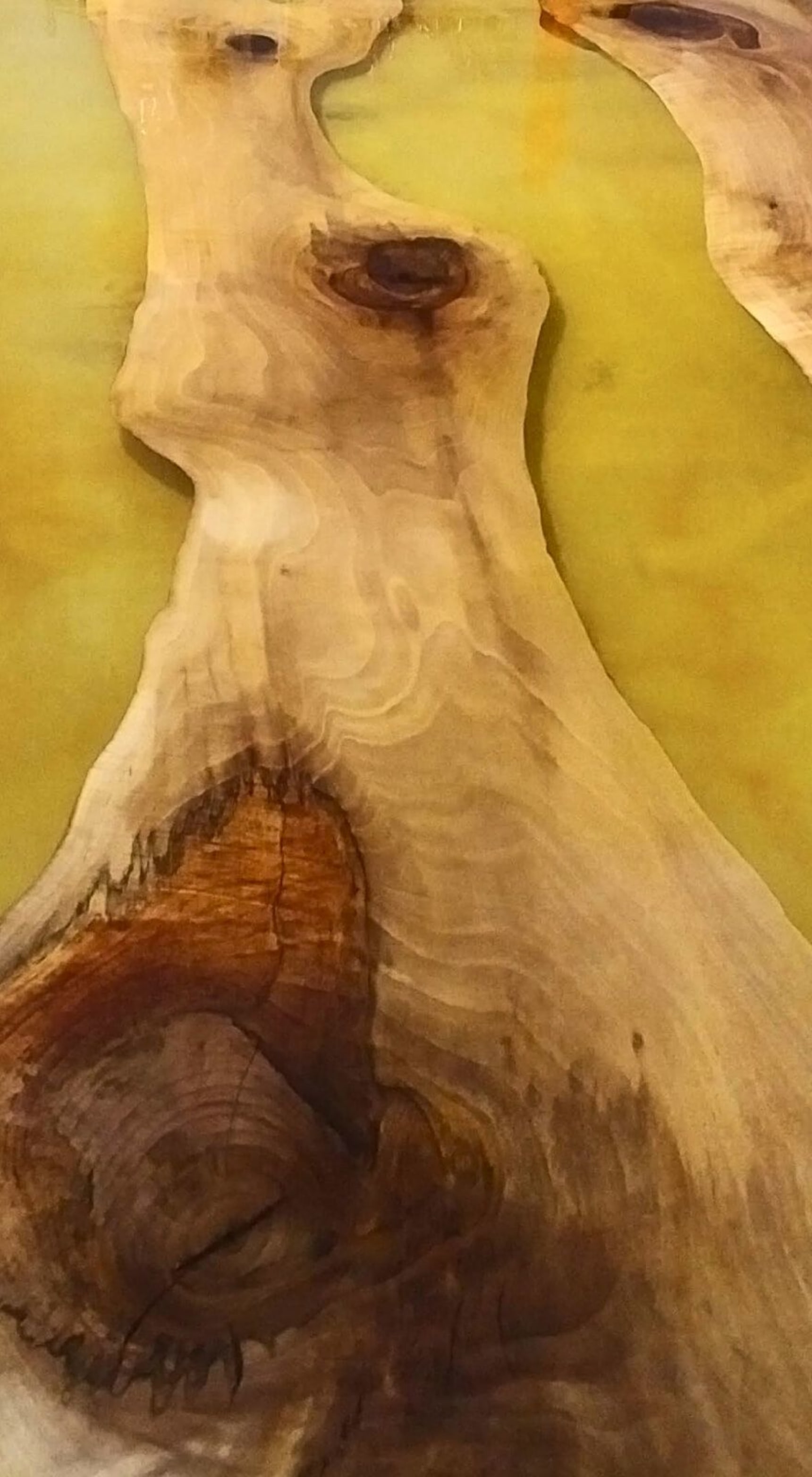 Altropol Kunststoff banner