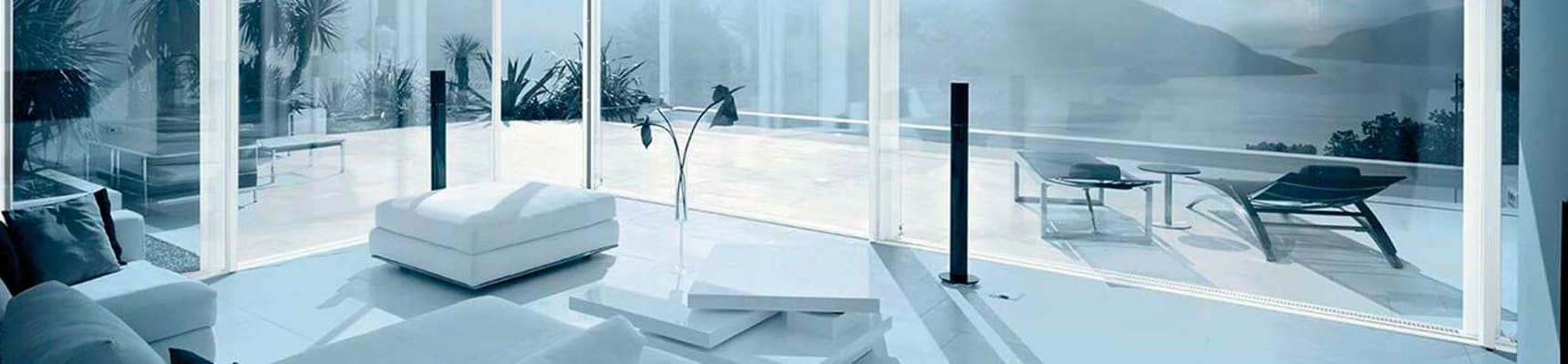 Aliancys banner
