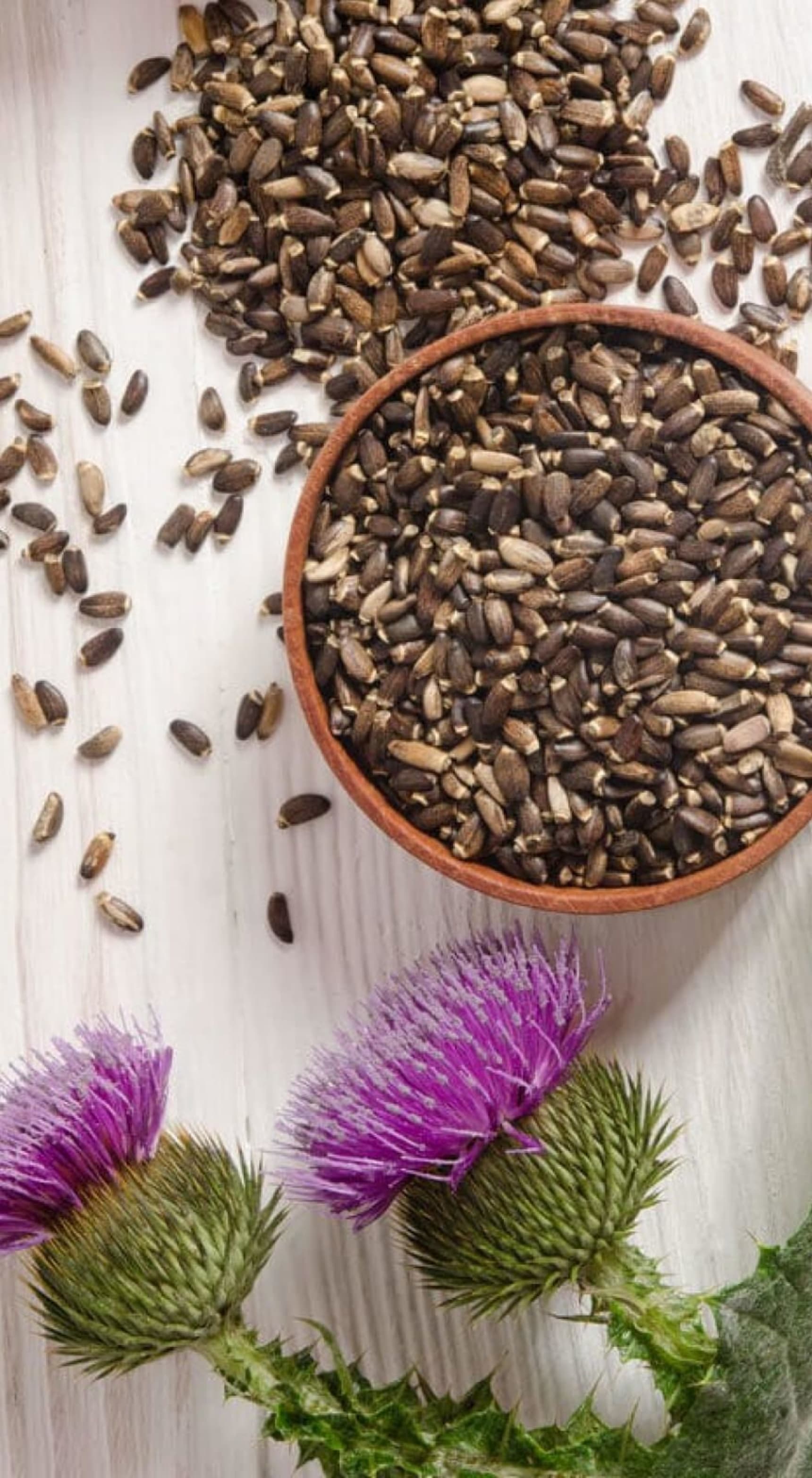 Naturalin Bio-Resources banner