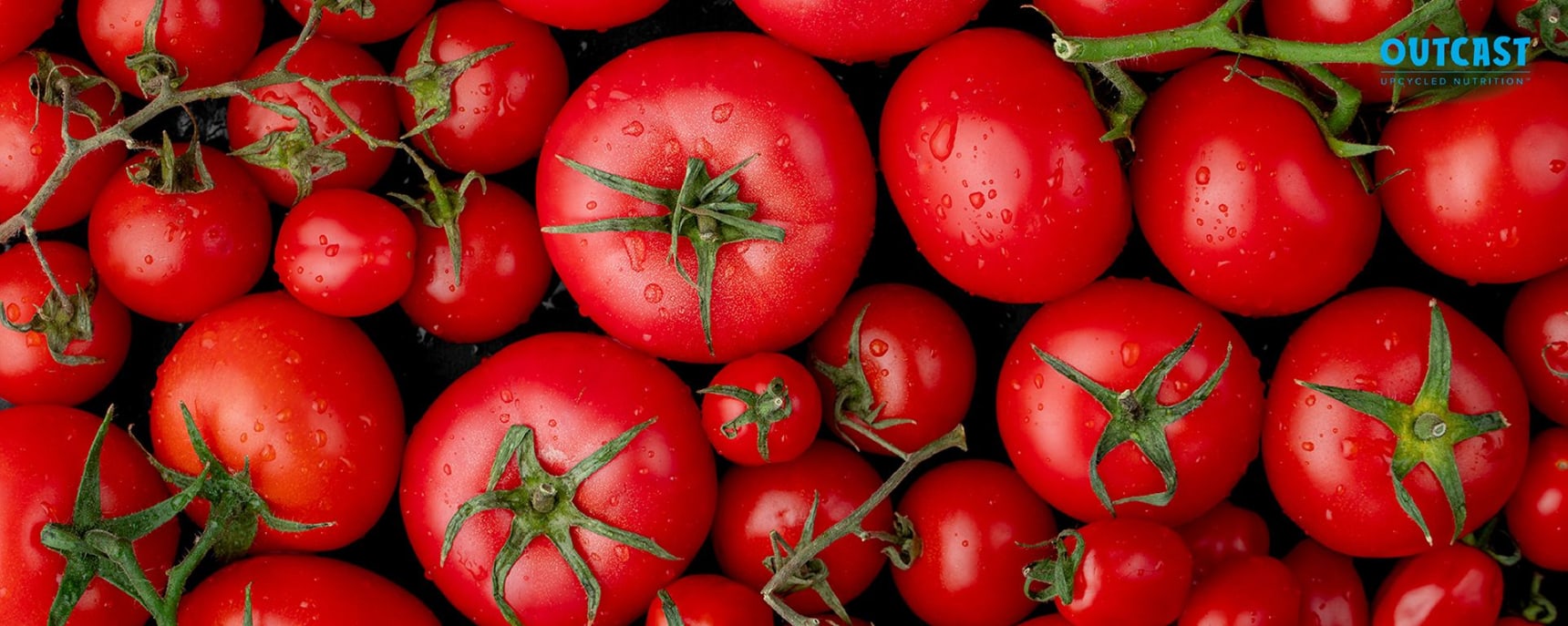 Outcast Foods banner