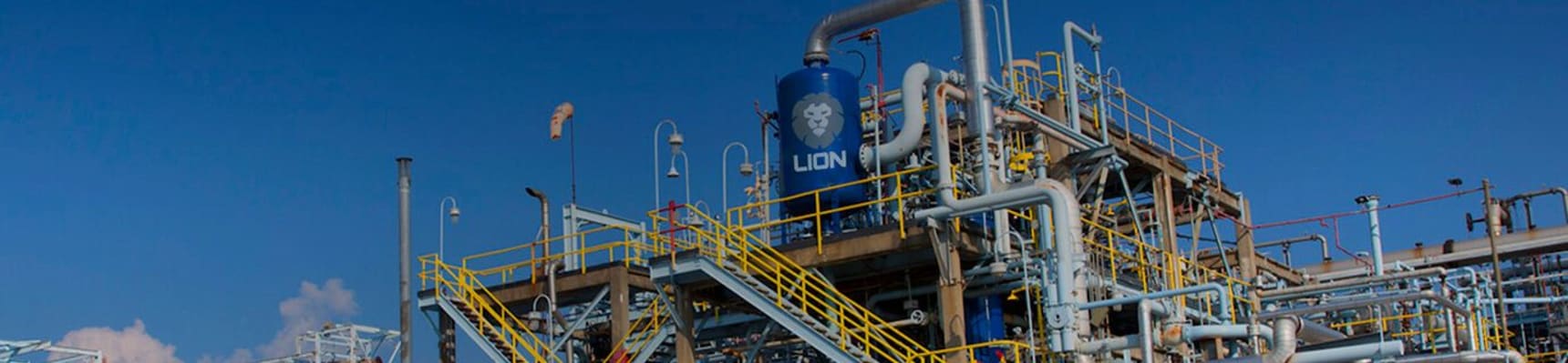 Lion Elastomers banner