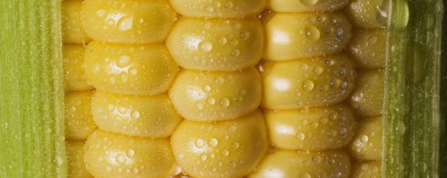 Cargill banner