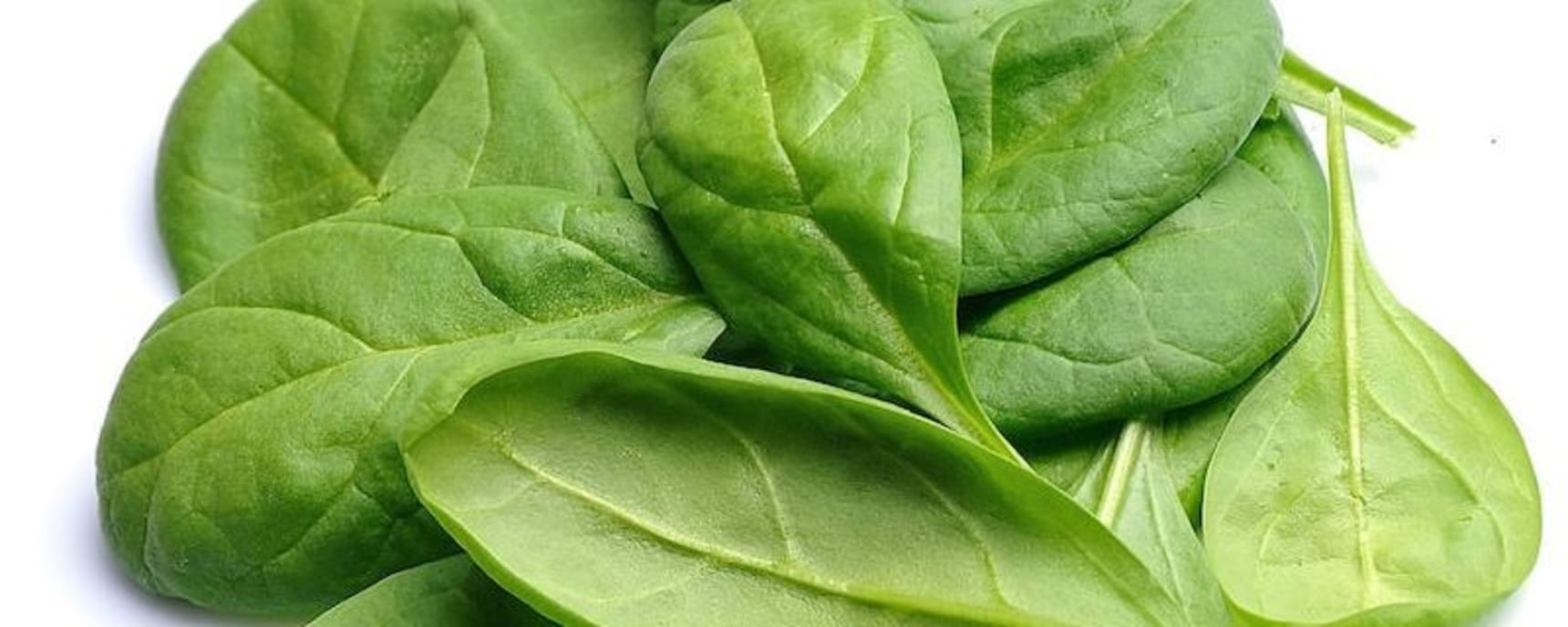 LC Ingredients banner