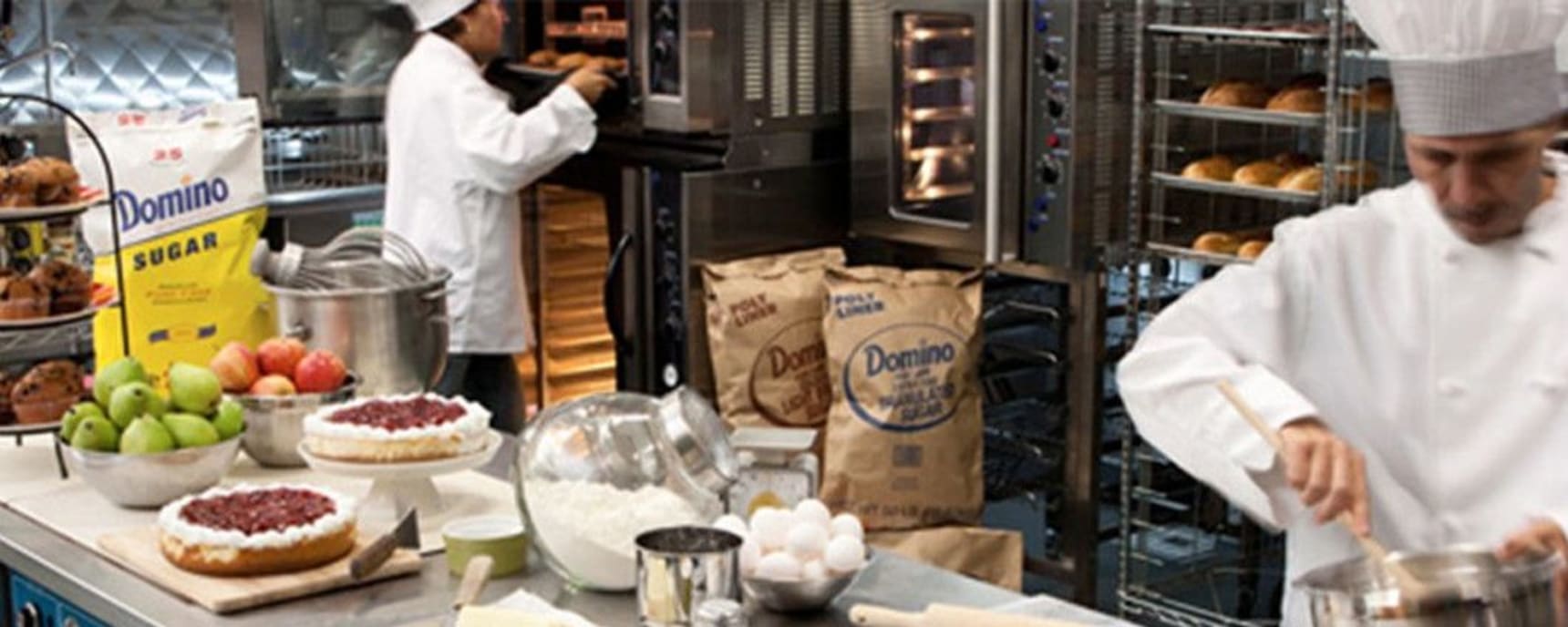 Domino Specialty Ingredients banner