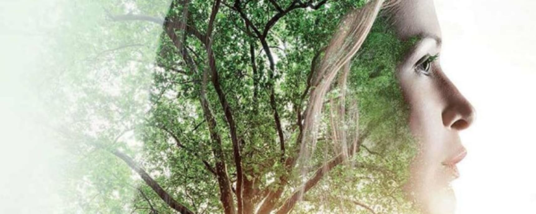 Roquette banner