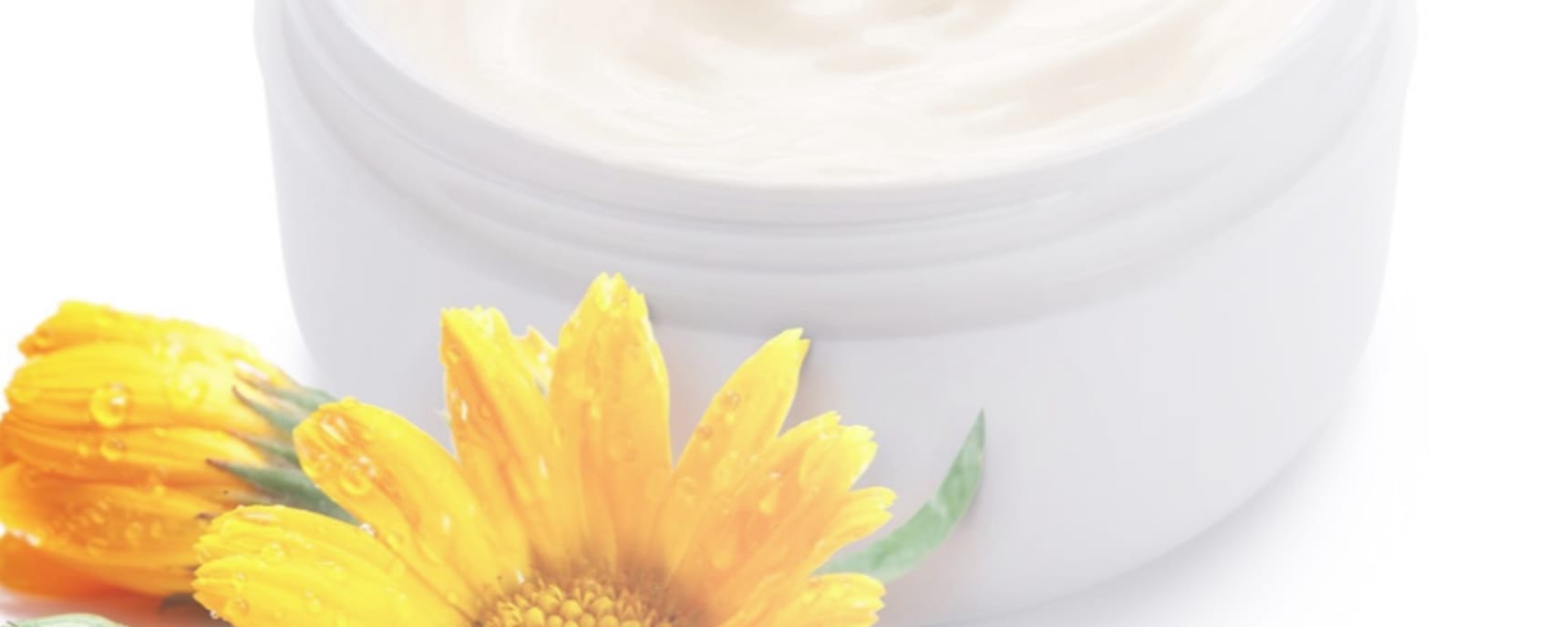Bioalkemia banner