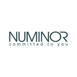 Numinor Chemical Industries Ltd. logo