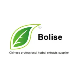 Bolise logo