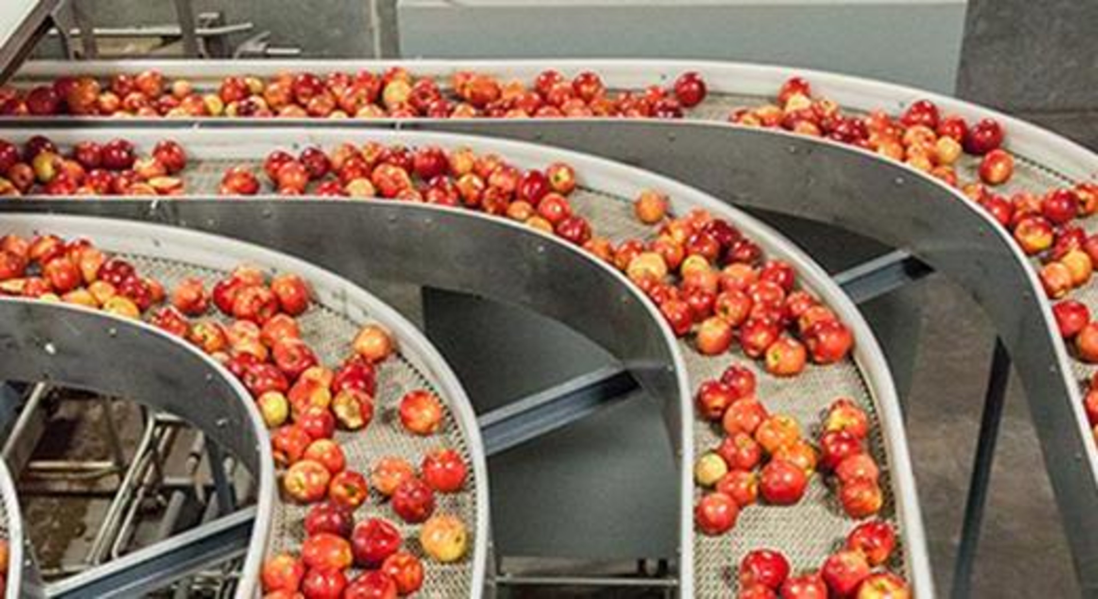 Processing & Packaging